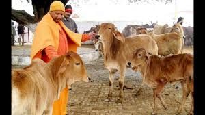 YOGI ADITYANATH Rare Photos