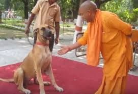 YOGI ADITYANATH Rare Photos