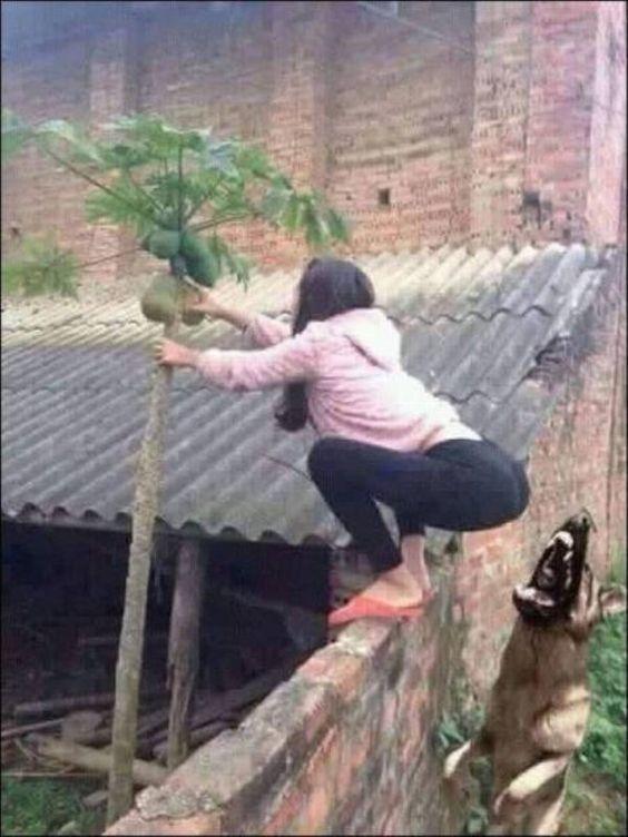 PHOTOS: Embarrassing moments captured at the right moment!