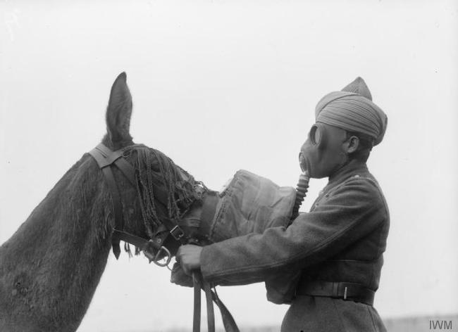 Rare Historical Pictures That Will Leave You Speechless