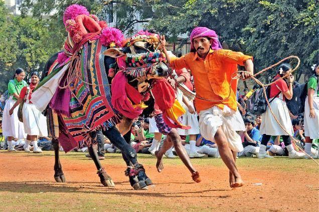 Rare images of sankranti taditional photos