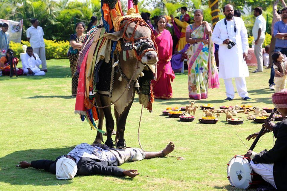 Rare images of sankranti taditional photos