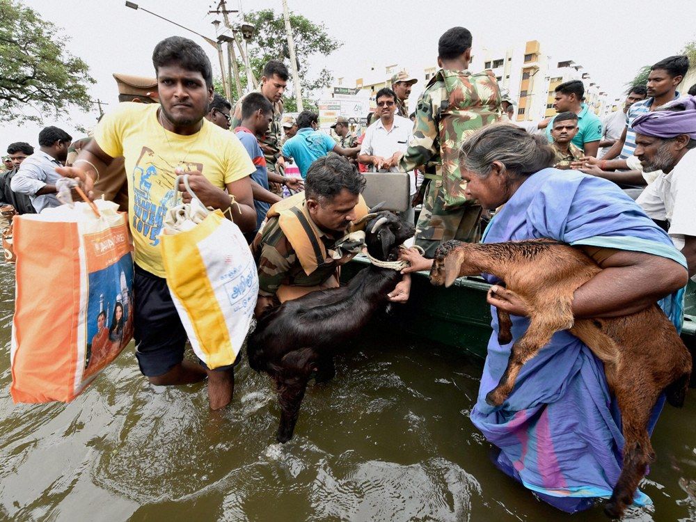 Rare Photos of Chennai Floods  Army  help