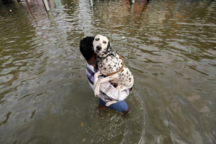 Rare Photos of Chennai Floods  Army  help