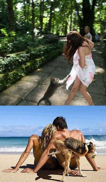 Top Most Viral Funny Images of 2015