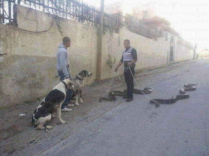 Top Most Viral Funny Images of 2015