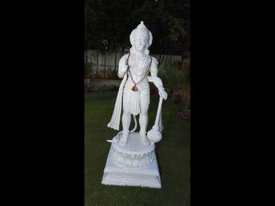 a sample image