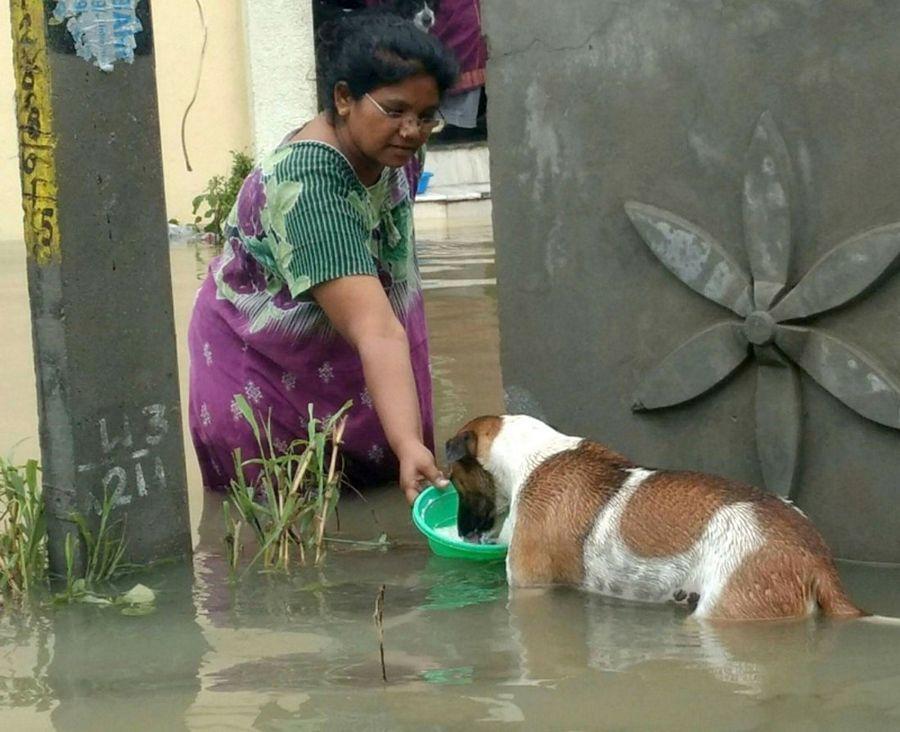 Heavy Rains in Both Telugu States Photos