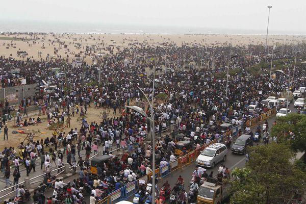 Photos All Tamilians Protesting In A Gandhian Way For Jallikattu