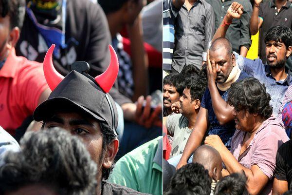 Photos All Tamilians Protesting In A Gandhian Way For Jallikattu