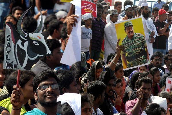 Photos All Tamilians Protesting In A Gandhian Way For Jallikattu