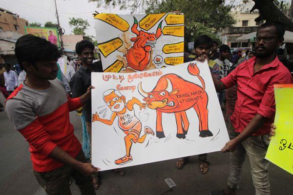 Photos All Tamilians Protesting In A Gandhian Way For Jallikattu