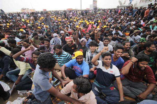 Photos All Tamilians Protesting In A Gandhian Way For Jallikattu