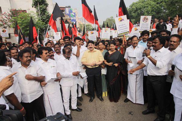 Photos All Tamilians Protesting In A Gandhian Way For Jallikattu
