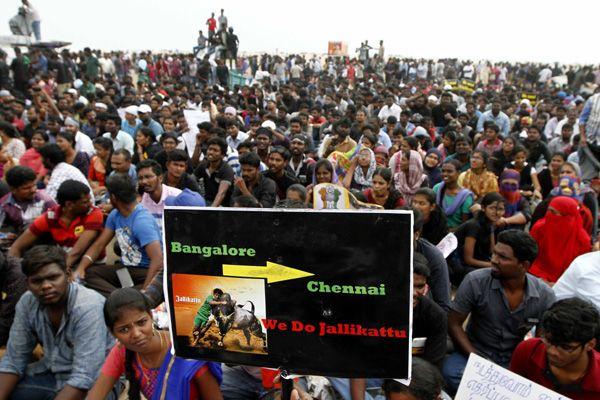 Photos All Tamilians Protesting In A Gandhian Way For Jallikattu