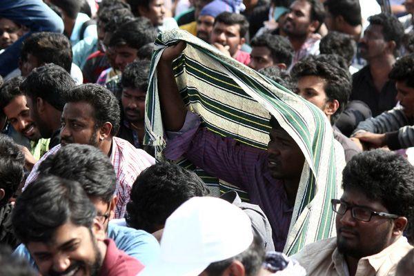 Photos All Tamilians Protesting In A Gandhian Way For Jallikattu