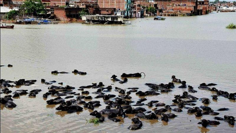 Uttar Pradesh Floods 2016 Photos