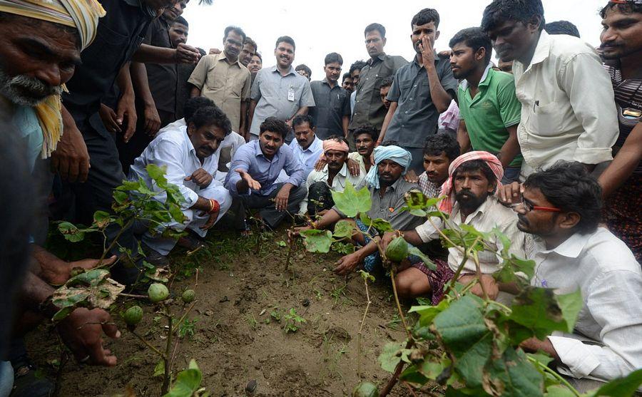 YS Jagan Mohan Reddy Visits Flood hit Villages in Guntur District