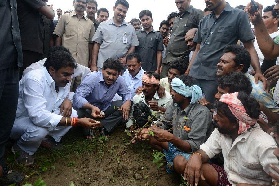 YS Jagan Mohan Reddy Visits Flood hit Villages in Guntur District