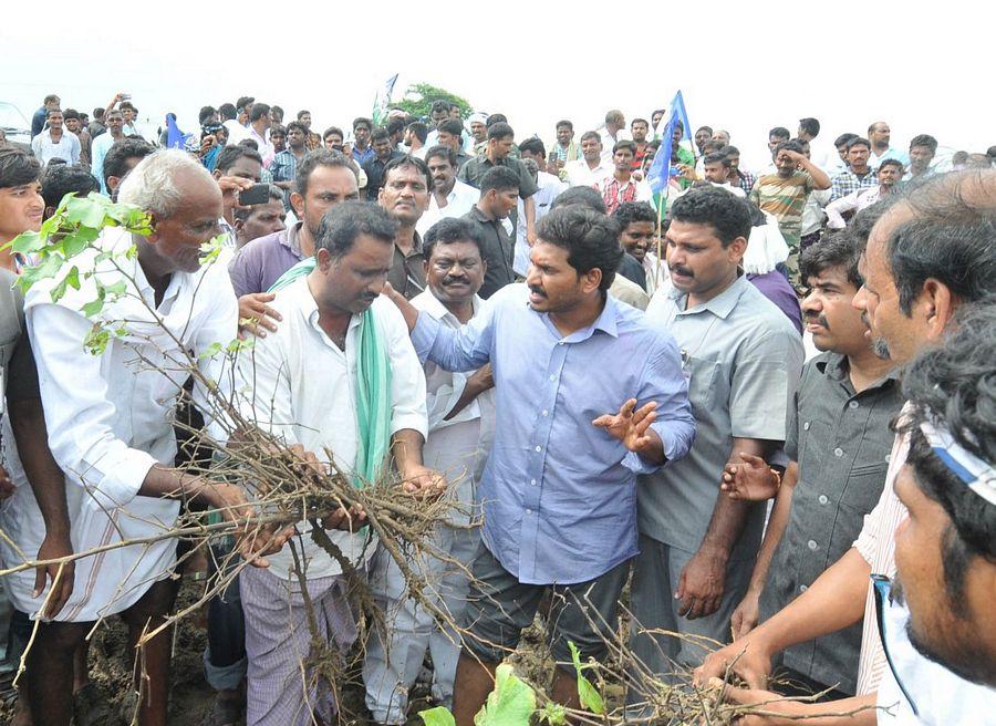 YS Jagan Mohan Reddy Visits Flood hit Villages in Guntur District
