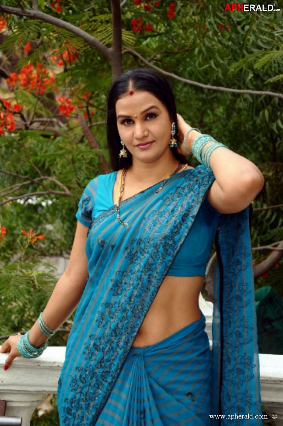 Actress Apoorva Aunty Hot Spicy Photos