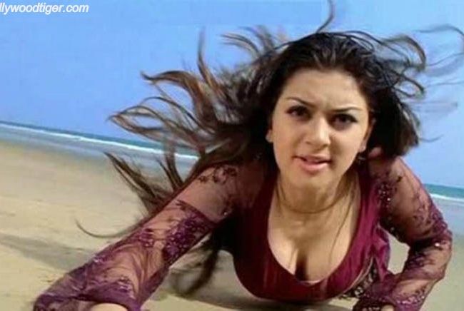 Actress Hot Sexy Expressions Photos