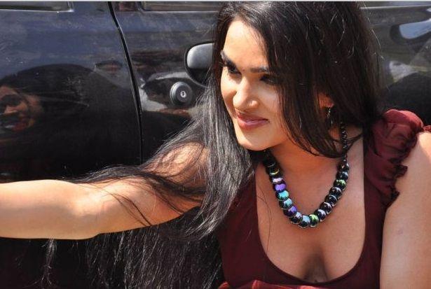 Actress Kavya Singh Sizzling Hot Photos in Saree's