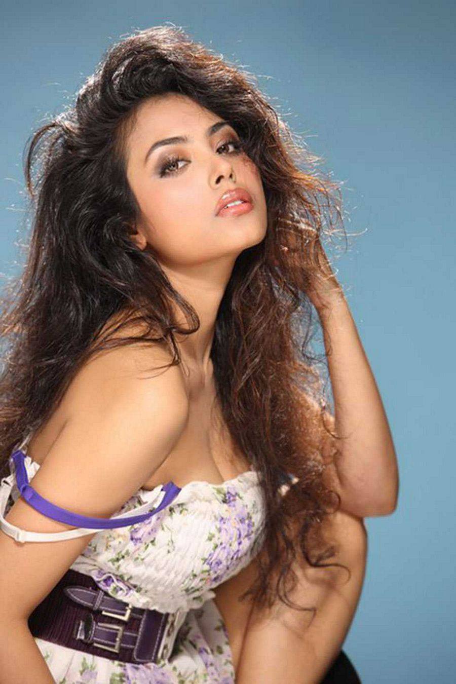 Actress Meenakshi Hot Photo Pics