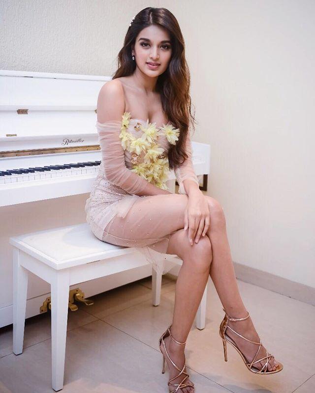Actress Nidhhi Agerwal Recent Hot Snaps Photoshoot Stills