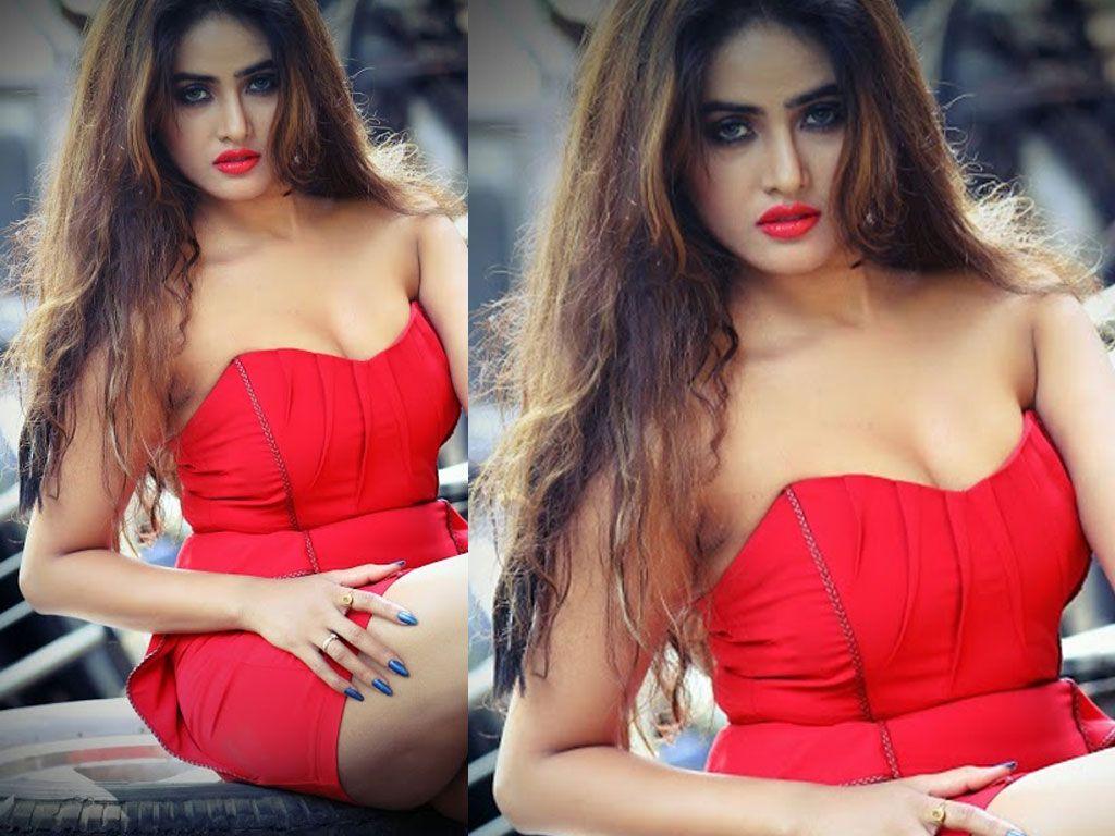 Actress Sony Charishta Hot & Spicy Cleavage Show Photos Collections