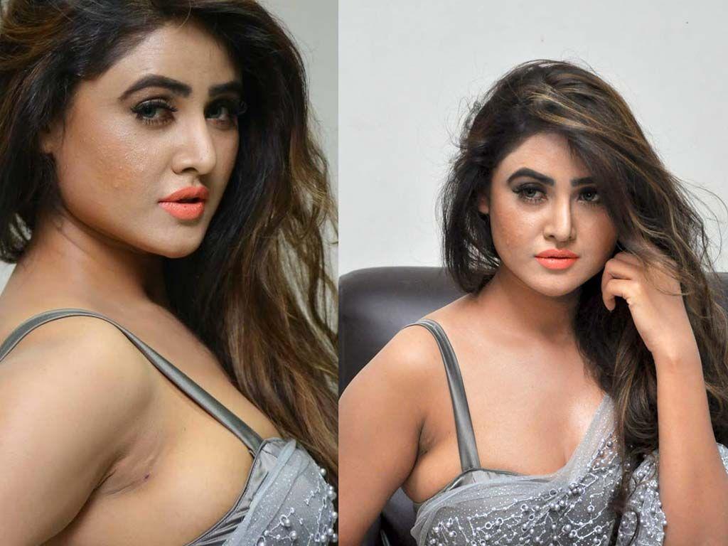 Actress Sony Charishta Hot & Spicy Cleavage Show Photos Collections