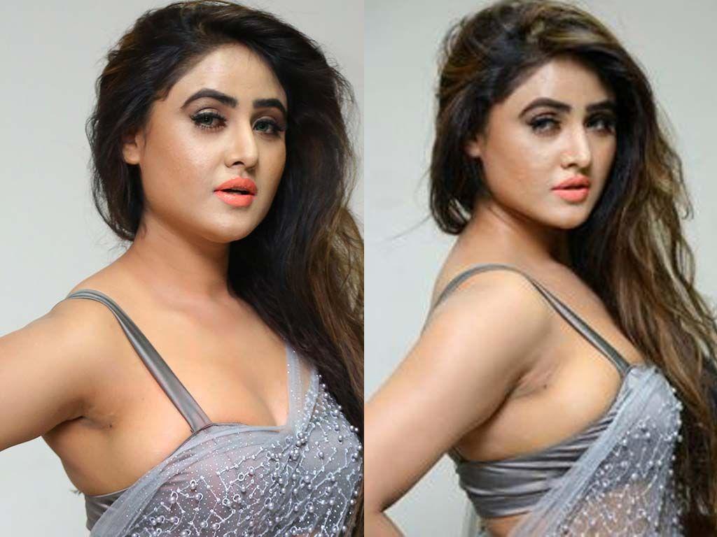 Actress Sony Charishta Hot & Spicy Cleavage Show Photos Collections