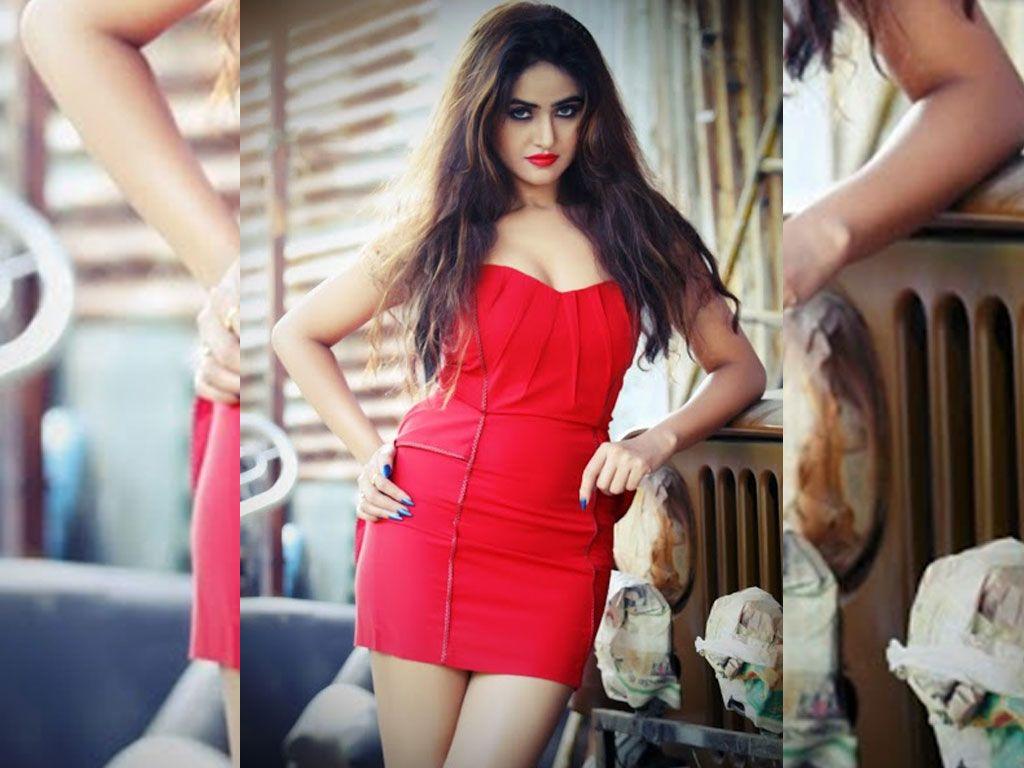 Actress Sony Charishta Never Seen Hot & Spicy Photos Collection!