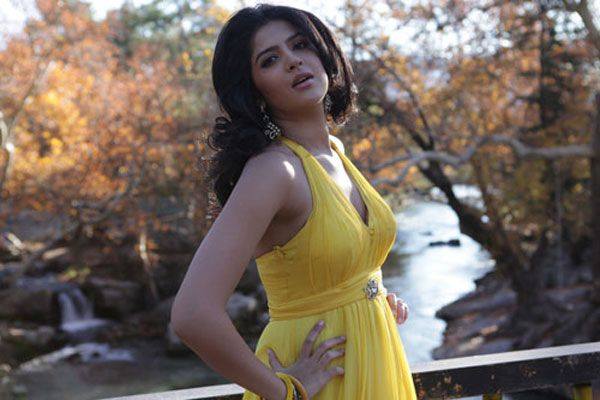 Actresses Deeksha Seth Hot Sexy Photos