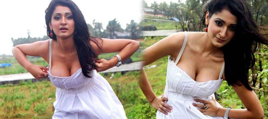 Alankrita Dogra Hot & Spicy Latest Cleavage Show Stills