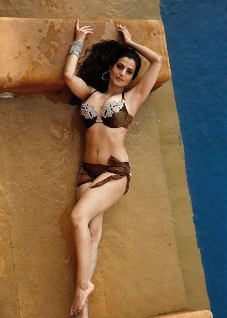 Ameesha Patel Sizzling Hot Wallpapers