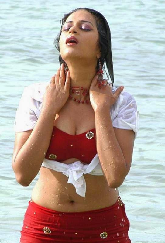 B Grade Actress Hot Navel Photo Pics