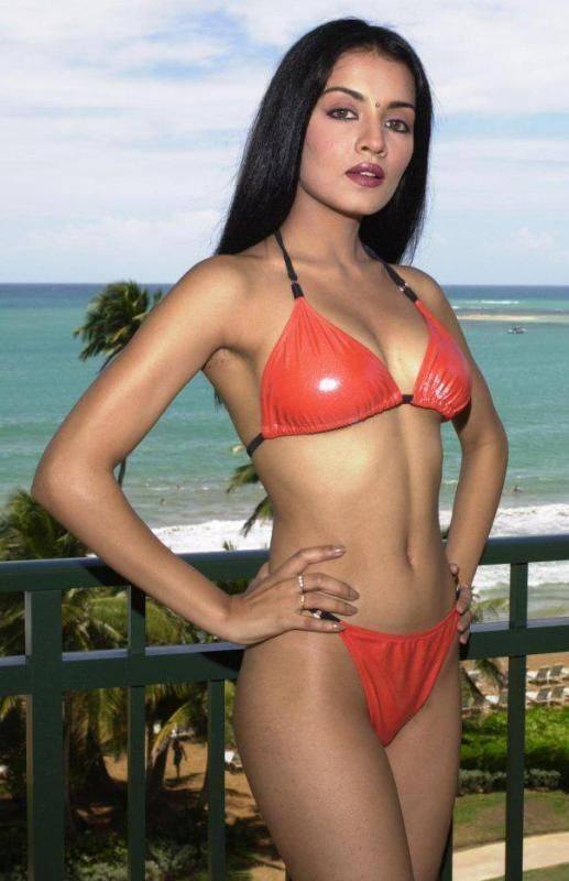 Celina Jaitley Hot Navel Photos