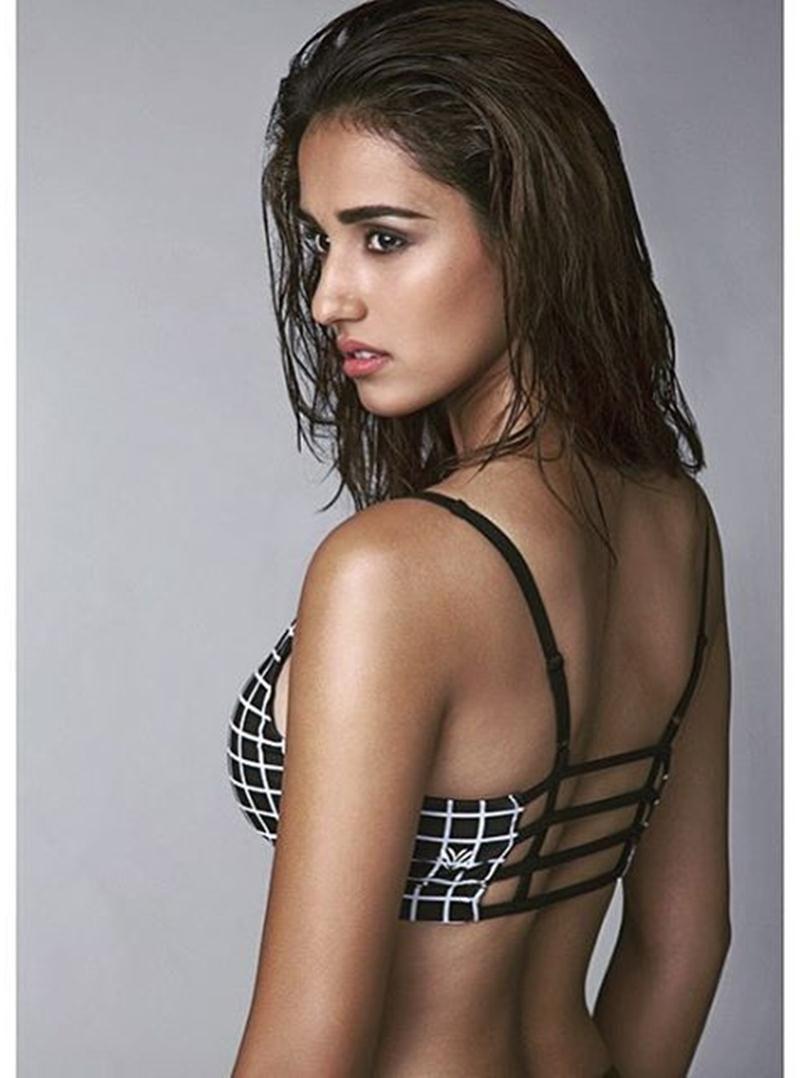 Disha Patani Latest Hot & Spicy Photoshoot Stills