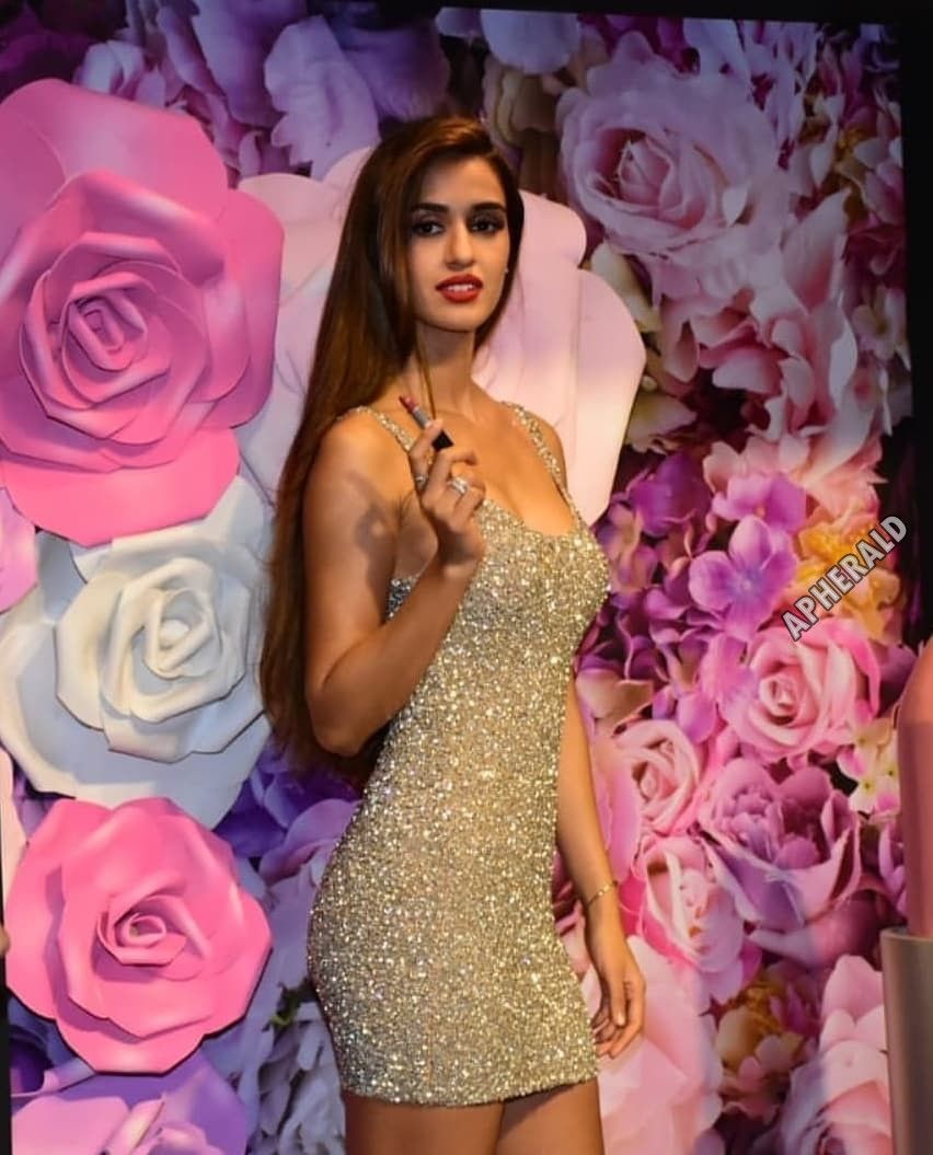 Disha Patani Sizzling Hot Photos