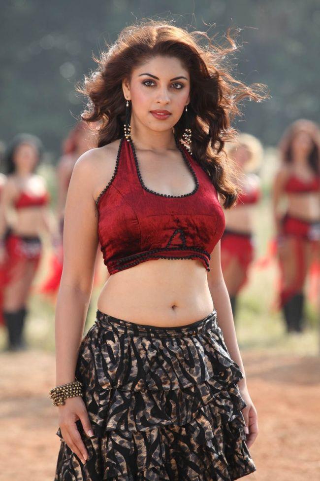 Film Actress Richa Gangopadhyay Very Hot And Spicy Images