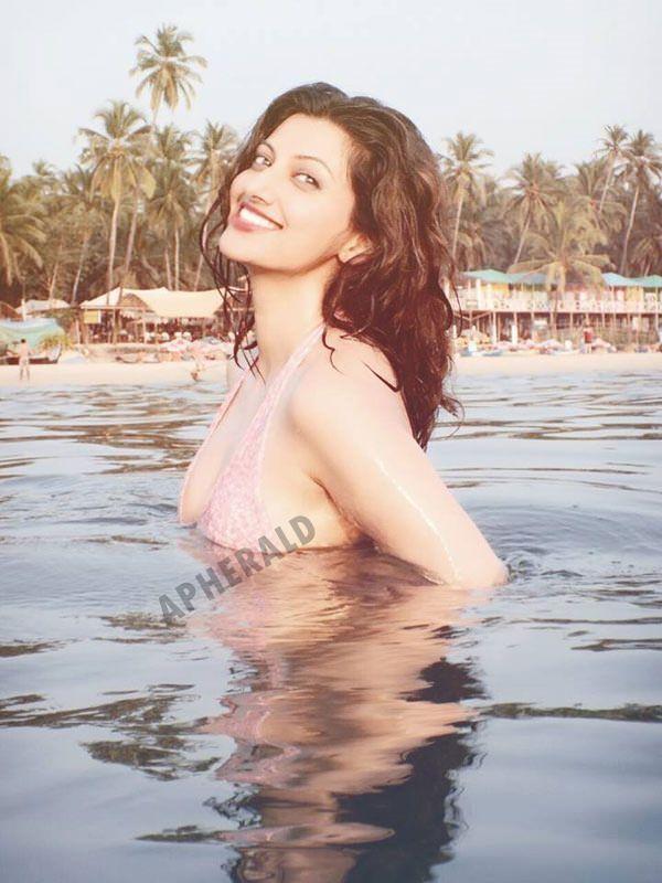 HOT & Spicy Photos of Hamsa Nandini would erase your BAD MOOD