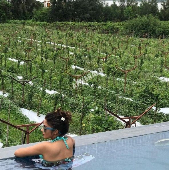 HOT Photos of famous Television Actress Tina Datta