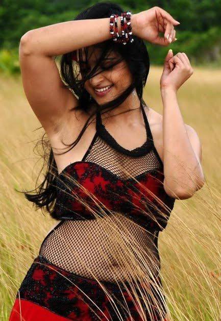 Hot Anushka in Saree Photos