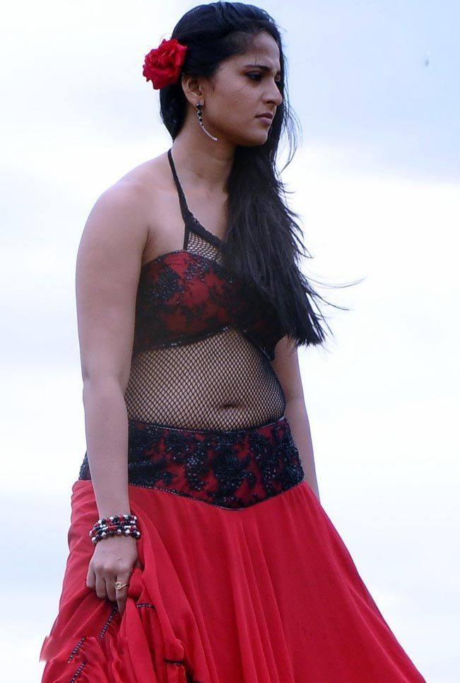 Hot Anushka in Saree Photos