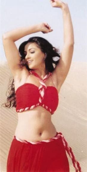 Hot Aunties Navel Photos Collection