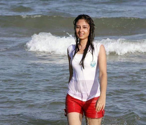 Hot Top South Indian Actresses Photos