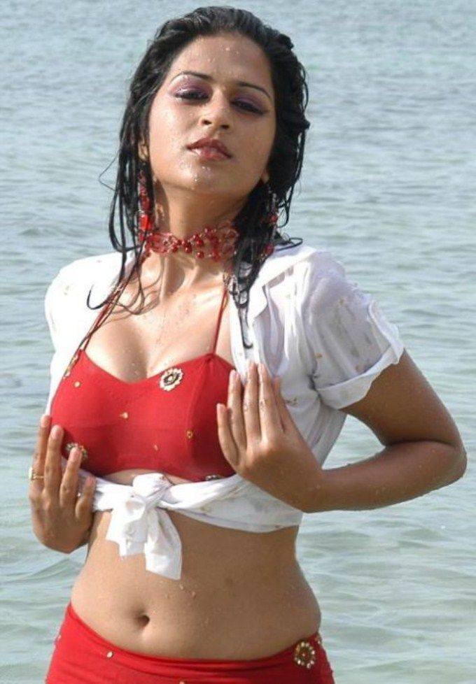 Hottest South Indian Actress wet Pictures