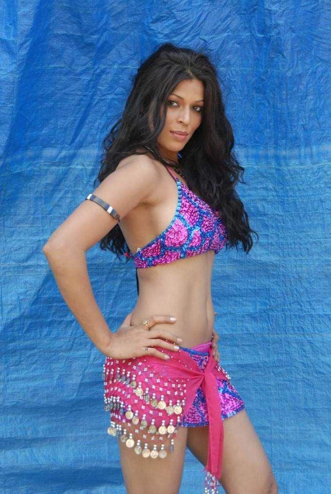 Indian B Grade Actress Hot Sexy Stills