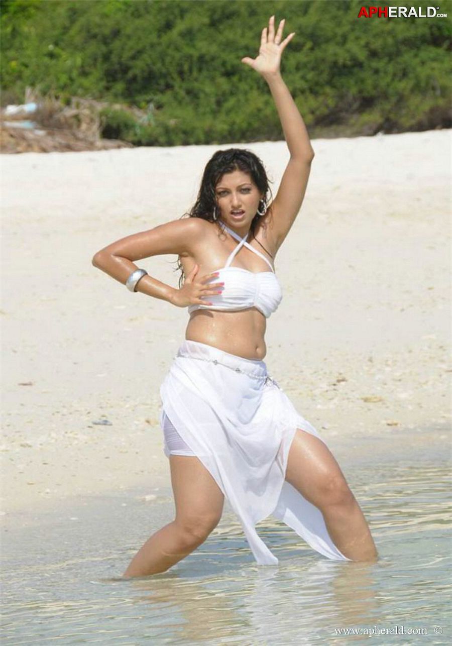 Item Girl Hamsa Nandini Hot Photos